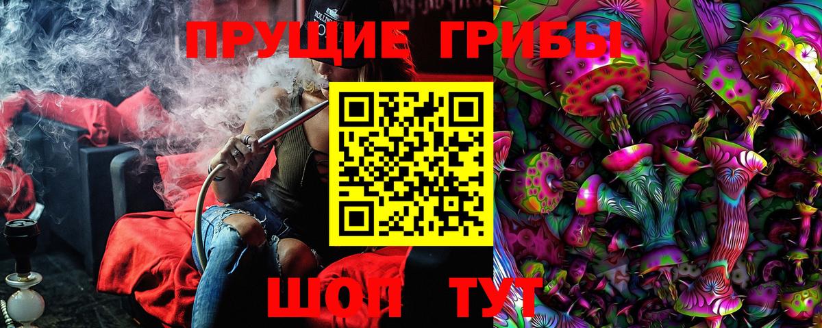 Псилоцибиновые грибы Psilocybe  Псилоцибиновые грибы Cubensis  Кувандык  Вход с VPN 