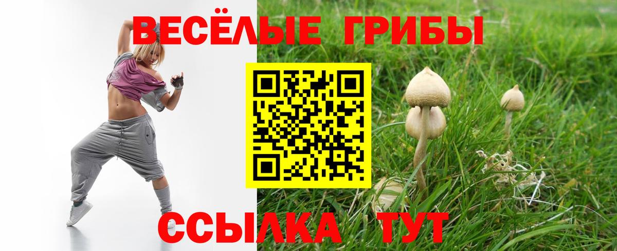 Псилоцибиновые грибы Psilocybe Кувандык